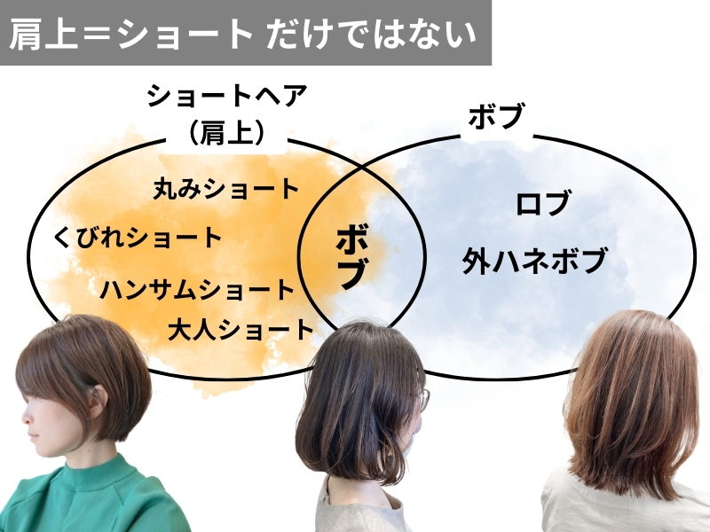 ショートヘアとボブの分布図