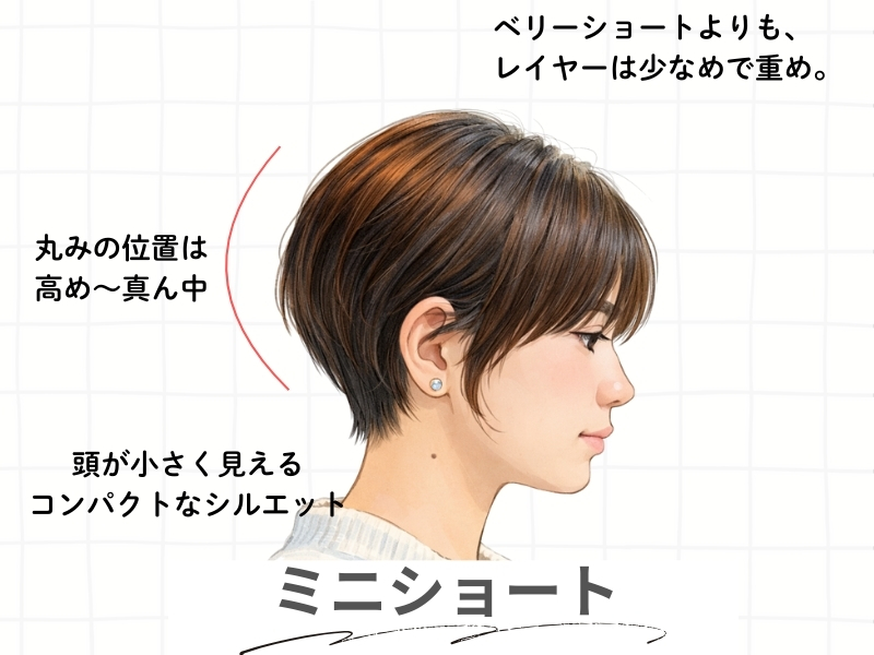 ミニショートの解説図