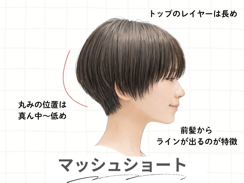 マッシュショートの解説図