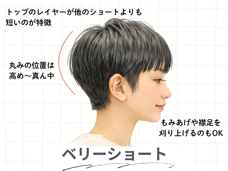 ベリーショートの解説図