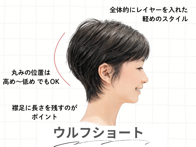 ウルフショートの解説図