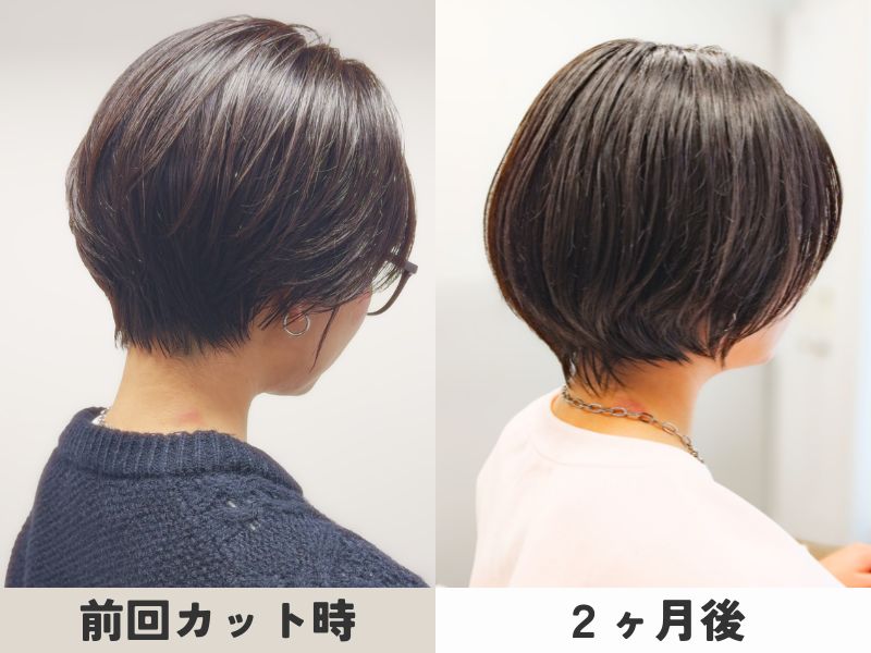 ショートヘアの2ヶ月後の変化｜後頭部の丸みとボリュームの変化